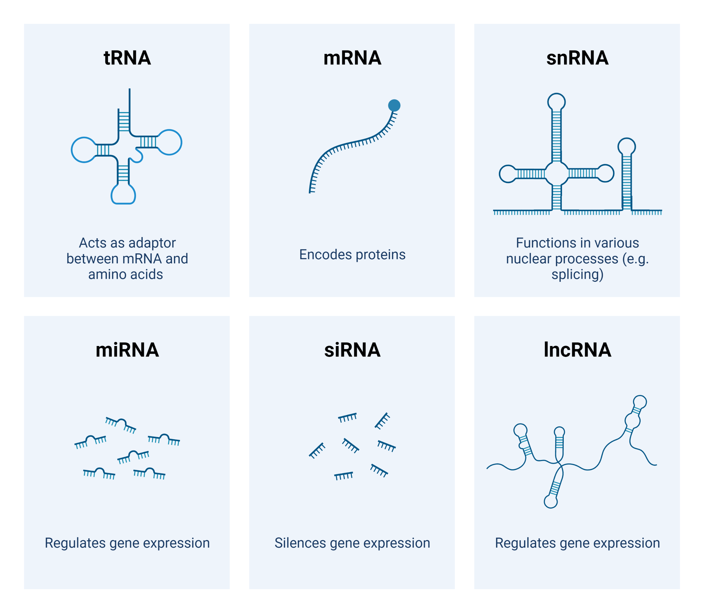 RNA Purification & Analysis AAT Bioquest